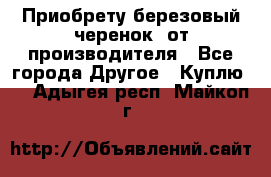 Приобрету березовый черенок  от производителя - Все города Другое » Куплю   . Адыгея респ.,Майкоп г.